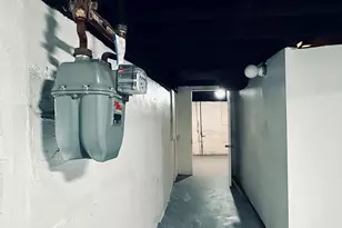 11725 S Morgan St, Chicago, IL 60643 - Photo 37