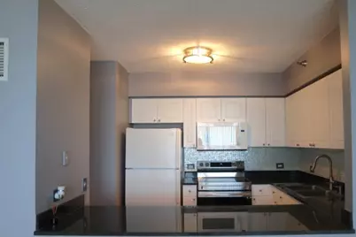 512 N McClurg Court #4903, Chicago, IL 60611 - Photo 9