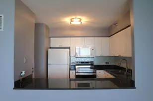 512 N McClurg Ct, Chicago, IL 60611 - Photo 9