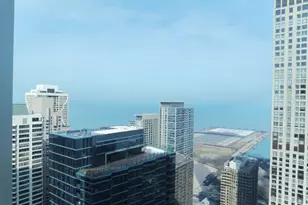 512 N McClurg Ct, Chicago, IL 60611 - Photo 5