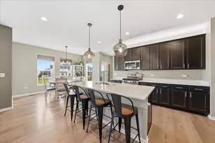 21127 Coventry Cir, Shorewood, IL 60404 - Photo 13