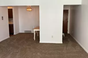 222 Madison St, Joliet, IL 60435 - Photo 7