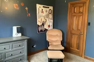 1502 London Rd, New Lenox, IL 60451 - Photo 35