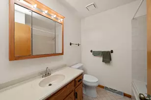 215 Leisure St, Yorkville, IL 60560 - Photo 17