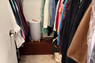 5806 A Wolf Rd, Western Springs, IL 60558 - Photo 15