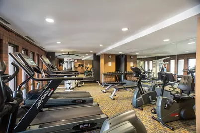 2605 S Indiana Avenue #1604, Chicago, IL 60616 - Photo 23