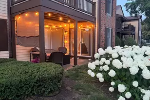 54 Plymouth Ct, Naperville, IL 60565 - Photo 19