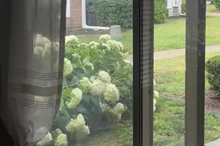 54 Plymouth Ct, Naperville, IL 60565 - Photo 21