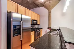 1033 W 14th Pl, Chicago, IL 60608 - Photo 5