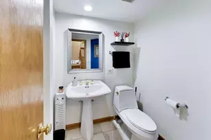 943 W Essex Pl, Arlington Heights, IL 60004 - Photo 21