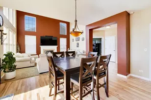 343 Copper Springs Ln, Elgin, IL 60124 - Photo 9