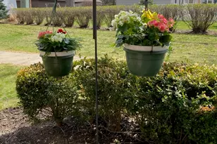 611 W Central Rd, Mount Prospect, IL 60056 - Photo 23