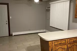 10301 McVicker Ave, Chicago Ridge, IL 60415 - Photo 19