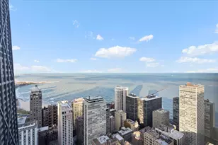 180 E Pearson St, Chicago, IL 60611 - Photo 39