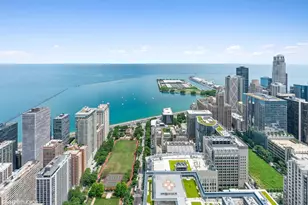 161 E Chicago Ave, Chicago, IL 60611 - Photo 41