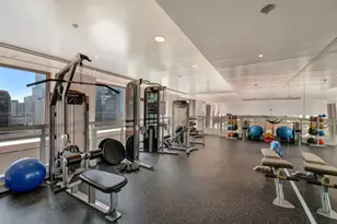 161 E Chicago Ave, Chicago, IL 60611 - Photo 47