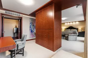 161 E Chicago Ave, Chicago, IL 60611 - Photo 19