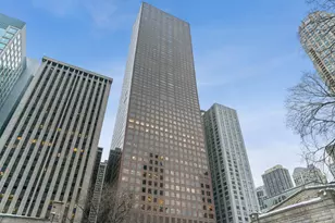 161 E Chicago Ave, Chicago, IL 60611 - Photo 49