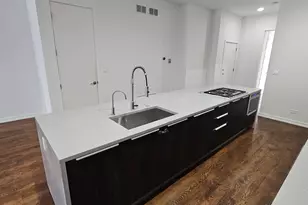 1013 N Honore St, Chicago, IL 60622 - Photo 11