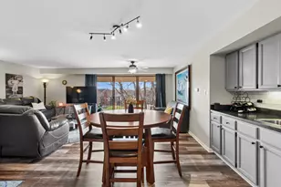 9906 Shady Ln, Orland Park, IL 60462 - Photo 5