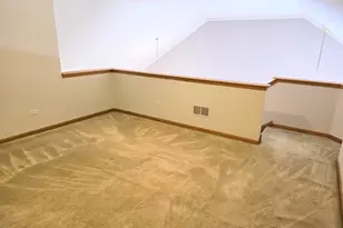 130 S McGinty St, Diamond, IL 60416 - Photo 19