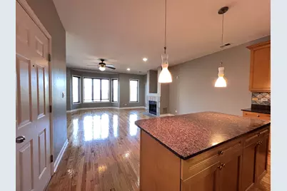 1911 S State Street #3, Chicago, IL 60616 - Photo 9