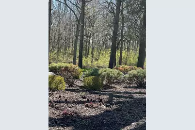 24863 W Sterling Oaks Court, Shorewood, IL 60404 - Photo 5