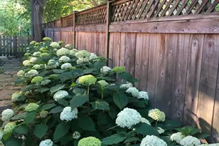 491 South Ave, Glencoe, IL 60022 - Photo 33