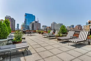 73 E Elm St, Chicago, IL 60611 - Photo 23