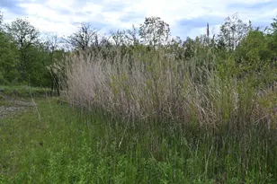 9021 E 2250 North Rd, Danville, IL 61834 - Photo 59