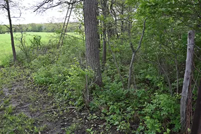 9021 E 2250 North Road, Danville, IL 61834 - Photo 71