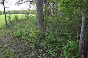 9021 E 2250 North Rd, Danville, IL 61834 - Photo 71