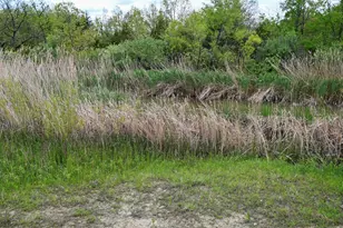 9021 E 2250 North Rd, Danville, IL 61834 - Photo 61
