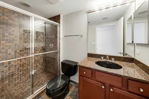 1069 W 14th Pl, Chicago, IL 60608 - Photo 13