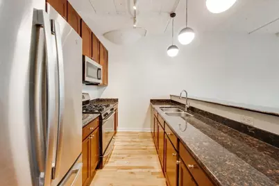 1069 W 14th Place #228, Chicago, IL 60608 - Photo 9