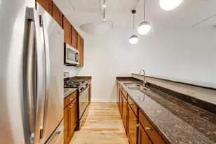 1069 W 14th Pl, Chicago, IL 60608 - Photo 9