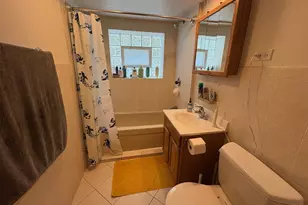 5054 N Lockwood Ave, Chicago, IL 60630 - Photo 13