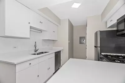 4523.5 S Drexel Boulevard #1E, Chicago, IL 60653 - Photo 3