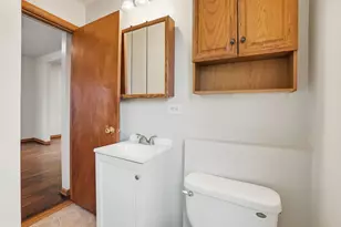 17 Seeser St, Joliet, IL 60436 - Photo 11