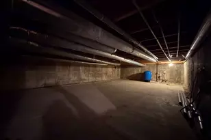 25038 S Timber Ct, Elwood, IL 60421 - Photo 29