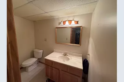 25038 S Timber Court, Elwood, IL 60421 - Photo 27