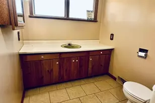 1111 N Bell Ave E, Pontiac, IL 61764 - Photo 19