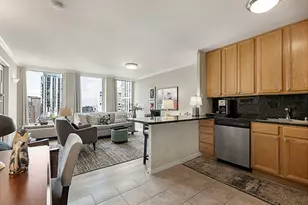 [Address not provided], Chicago, IL 60611 - Photo 9