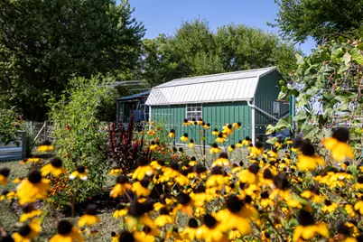 126 Sun Street, Cabery, IL 60919 - Photo 29