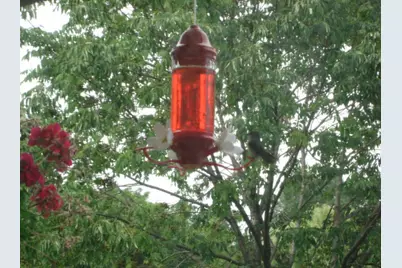 0N132 Ennerdale Lane #1407, Winfield, IL 60190 - Photo 27