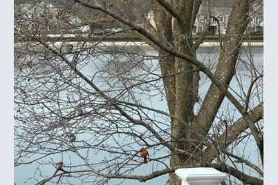 0N132 Ennerdale Lane #1407, Winfield, IL 60190 - Photo 33