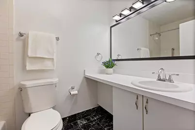 230 E Ontario Street #1305, Chicago, IL 60611 - Photo 17