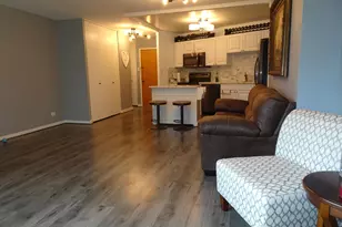 211 E Ohio St, Chicago, IL 60611 - Photo 7