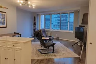 211 E Ohio St, Chicago, IL 60611 - Photo 5