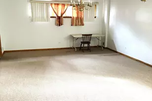 463 W 23rd Pl, Chicago, IL 60616 - Photo 3